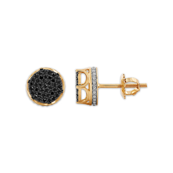 Titan Collection 10KT Yellow Gold 1/4 CTW Black Natural Diamond Earrings