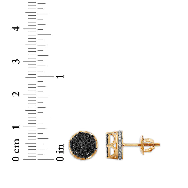Titan Collection 10KT Yellow Gold 1/4 CTW Black Natural Diamond Earrings