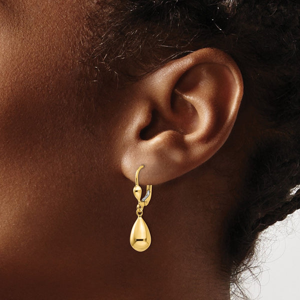 10KT Yellow Gold 29X7MM Drop & Dangle Leverback Earrings