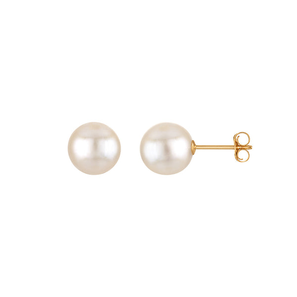 White Pearl Stud Earrings in 14KT Gold