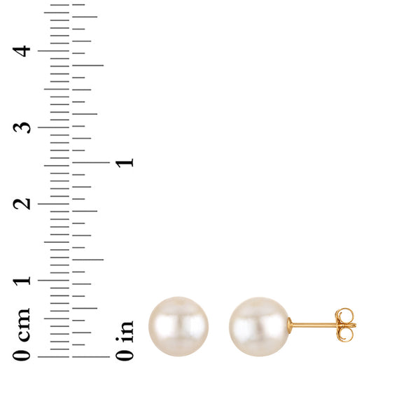 White Pearl Stud Earrings in 14KT Gold