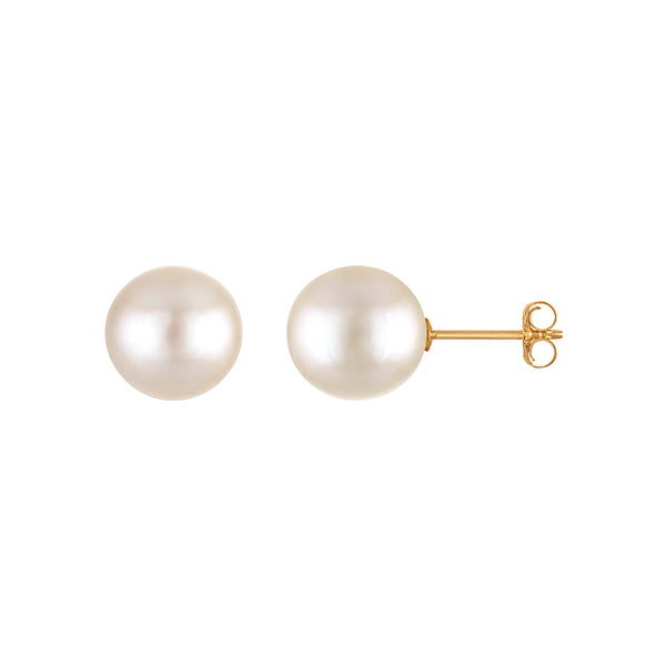 White Pearl Stud Earrings in 14KT Gold