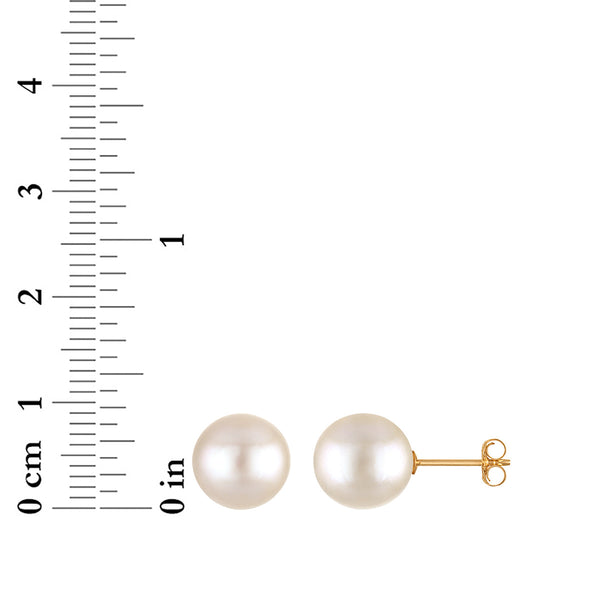 White Pearl Stud Earrings in 14KT Gold