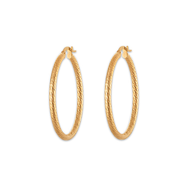 Hoop Earrings in 14KT Gold