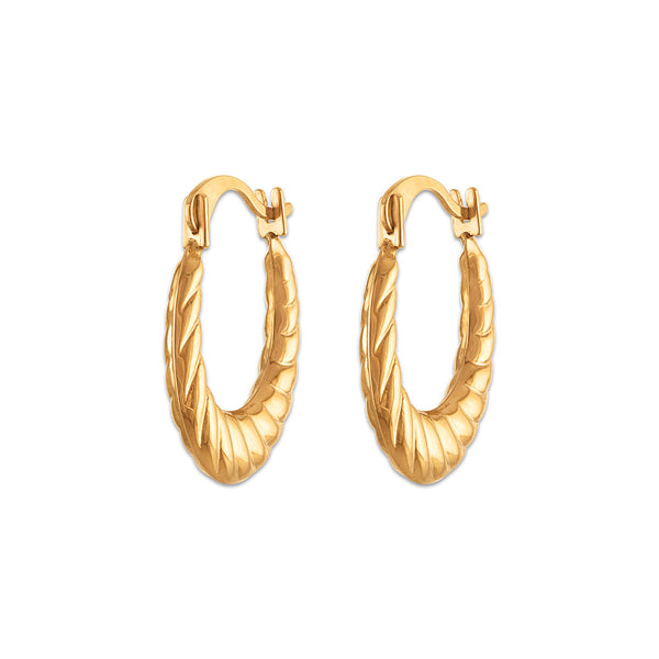 Hoop Earrings in 10KT Gold
