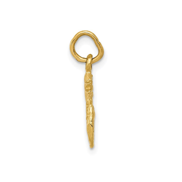 14KT Gold Polished Pineapple Charm Pendant. Chain not Included.
