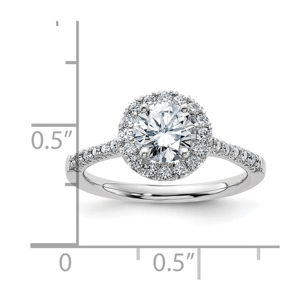 6.5MM Round Moissanite Halo Engagement Ring in 14KT White Gold. Size 7