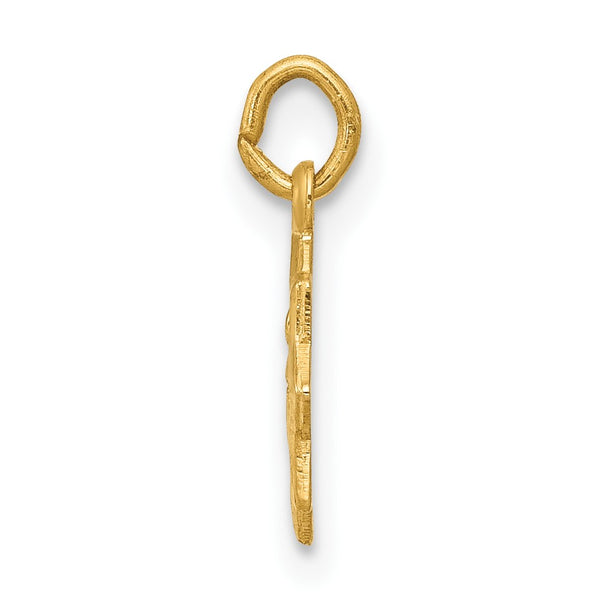 14KT Yellow Gold 14X9MM Guadalupe Pendant-Chain Not Included