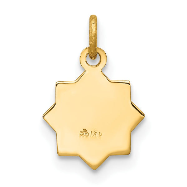 14KT Yellow Gold 14X9MM Guadalupe Pendant-Chain Not Included