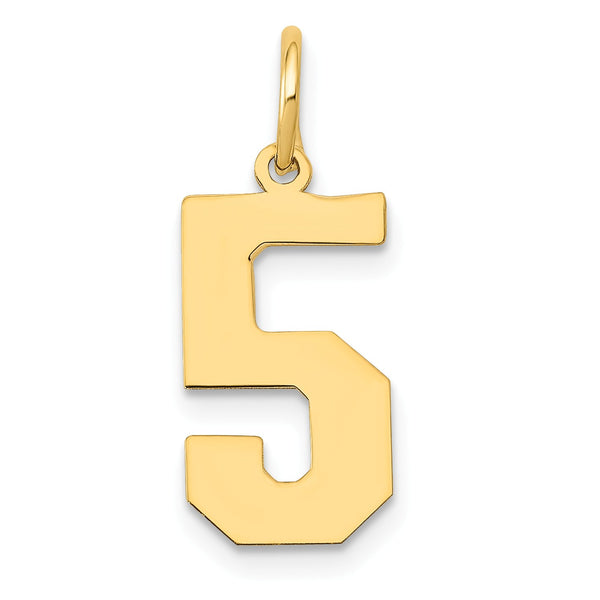 14k Medium Polished Number 5 Charm